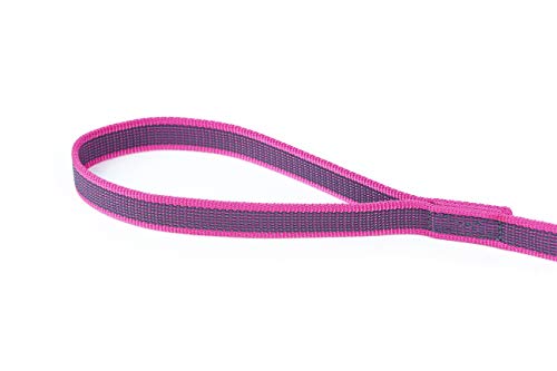 Julius-K9 216GM-PN-S3 - Correa de Perro del Estupendo, Rosa (Rosado - Gris), 300 x 2 cm, 1 unidad