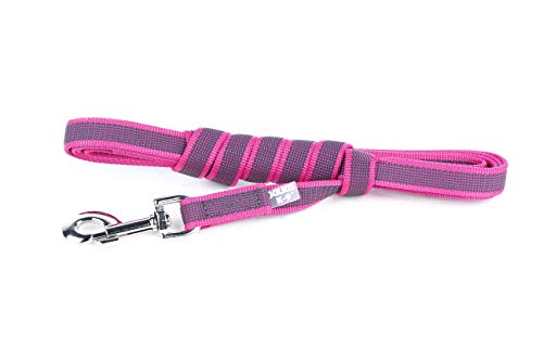 Julius-K9 216GM-PN-S3 - Correa de Perro del Estupendo, Rosa (Rosado - Gris), 300 x 2 cm, 1 unidad