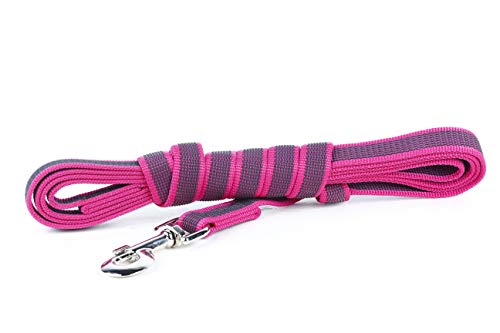 Julius-K9 216GM-PN-S3 - Correa de Perro del Estupendo, Rosa (Rosado - Gris), 300 x 2 cm, 1 unidad