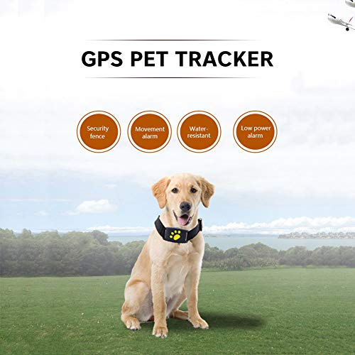 JUMOWA Rastreador GPS para mascotas, buscador inteligente