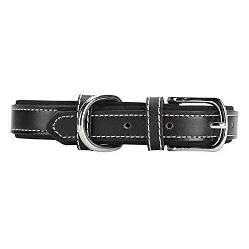 JUnYuKj Collar para perro, collar para mascotas, letras, delicado y duradero, ajustable para tamaño pequeño, mediano y grande