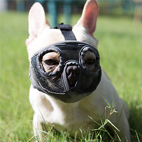JYHY - Bozal Corto para Perro con Forma de Bulldog de Malla Transpirable Ajustable para mascarar, Cortar y Entrenar a Perros (S(9"-12"), Gris(Ojo))