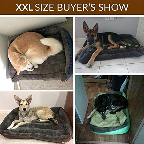 KAIKUN Cama para Gatos Cama Perro Grande Esponjoso Gato Cama Camas de Gato para Gatos medianos Camas para Perros Gatito Cama Royal Blue,60