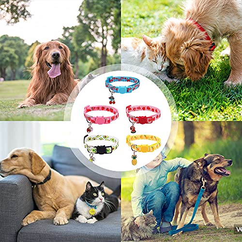 Kaimeilai 5 correas para mascotas, diseño de frutas y gatos