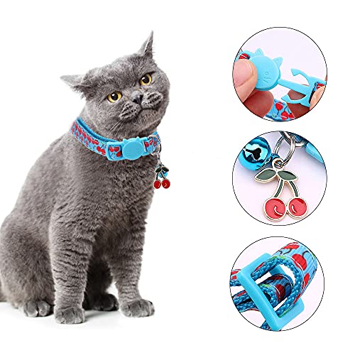 Kaimeilai 5 correas para mascotas, diseño de frutas y gatos