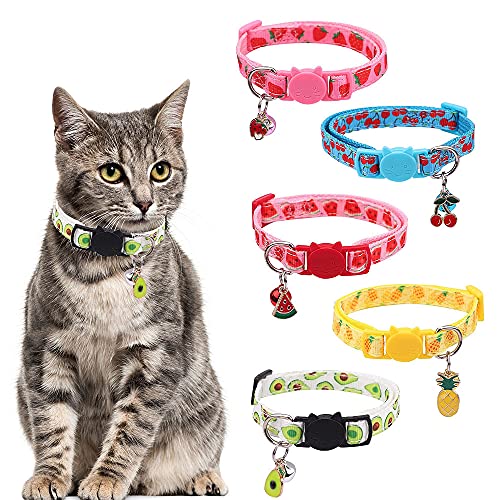 Kaimeilai 5 correas para mascotas, diseño de frutas y gatos
