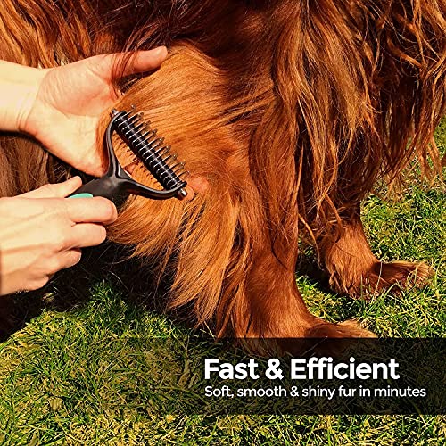 KAIYZP Peine para Perro, Peine para Gatos, rastrillo de Aseo para Eliminar el Pelo no Deseado y desenredar los Nudos, Reduce la caída del Cabello en un 90% (coloque Dos Tijeras) (Pet Knot Comb)