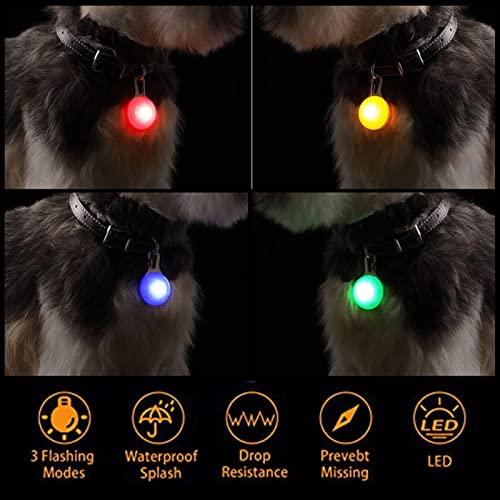 KAMEUN LED Perro, Luz Collar Luminoso Perro, 4 Luces de Colores Seguridad Luminoso Impermeable,4 Tubo de Etiqueta Perro Anti-perdido Gato Nombre Regalos para Mascotas por Caminar por la Noche Gato