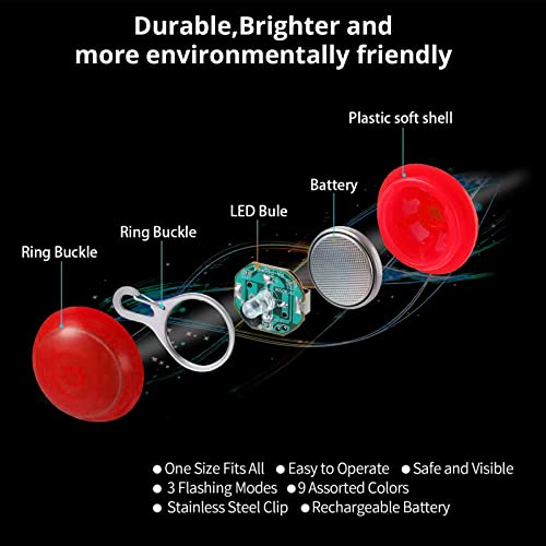 KAMEUN LED Perro, Luz Collar Luminoso Perro, 4 Luces de Colores Seguridad Luminoso Impermeable,4 Tubo de Etiqueta Perro Anti-perdido Gato Nombre Regalos para Mascotas por Caminar por la Noche Gato