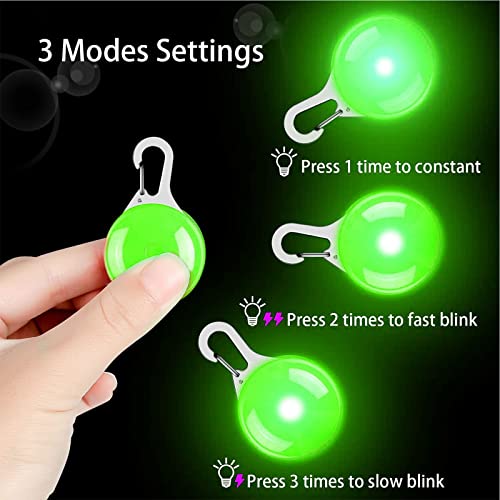 KAMEUN LED Perro, Luz Collar Luminoso Perro, 4 Luces de Colores Seguridad Luminoso Impermeable,4 Tubo de Etiqueta Perro Anti-perdido Gato Nombre Regalos para Mascotas por Caminar por la Noche Gato