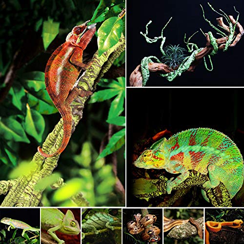 kathson Plantas de vid de reptiles, flexibles, para escalar en la selva, terrario, plantas de plástico, hojas de tanque de mascotas, serpientes, ranas de cangrejo ermitaño y más reptiles