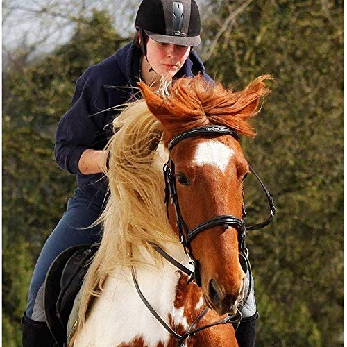KDKDA Los cristales hermoso sendero occidental del corredor del barril caballo de la demostración de una silla libre de la almohadilla for montar a horcajadas de plata Conjuntos de Arnés Nueva Doble C