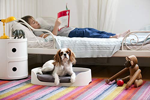 Ketter Buncked 3 en 1 Transportín Cama, Compuesto, Arena, 58x38x49 cm