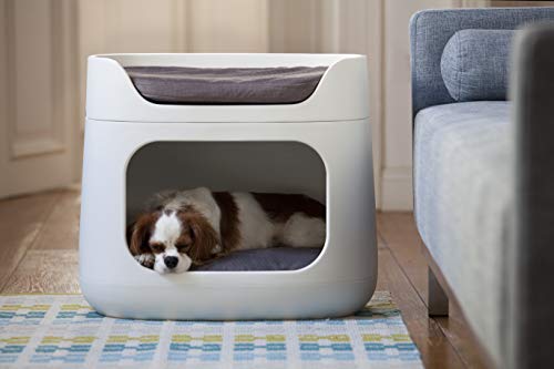 Ketter Buncked 3 en 1 Transportín Cama, Compuesto, Arena, 58x38x49 cm
