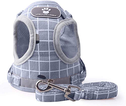 KINGLEAD Chaleco para Mascotas con Correa para Perro, Chaqueta de Invierno Chaqueta Impermeable Abrigo de Lluvia cálido Forro Polar pequeño Mediano Grande Protector de Pecho Acolchado (Gris, XS)