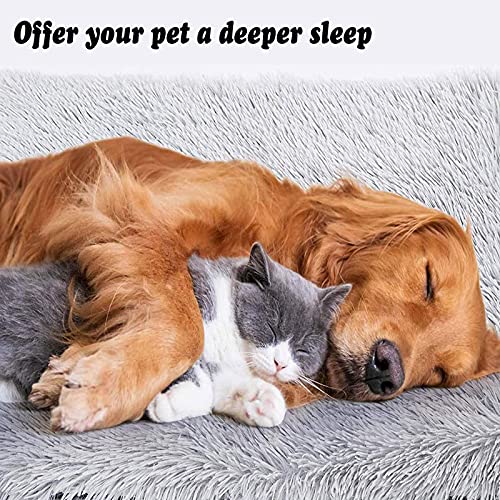 KingMSPG Calming XL - Cama para perro grande, mullida y esponjosa, cama ortopédica para perro, tamaño mediano, extraíble, lavable para perros grandes y medianos pequeños (100 x 70 x 10 cm, gris)