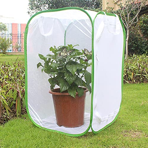 Kisbeibi Jaula de insectos translúcida, con mariposa, espacio de vida, jaula, plantas, invernadero, plegable, para jardín de mariposas (tamaño: M, 15,74 x 15,74 x 23,62 pulgadas)