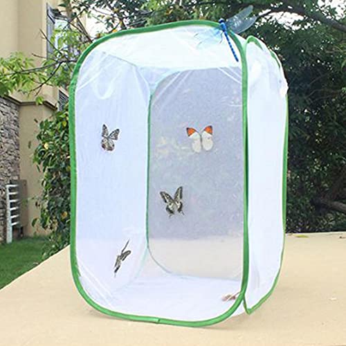 Kisbeibi Jaula de insectos translúcida, con mariposa, espacio de vida, jaula, plantas, invernadero, plegable, para jardín de mariposas (tamaño: M, 15,74 x 15,74 x 23,62 pulgadas)