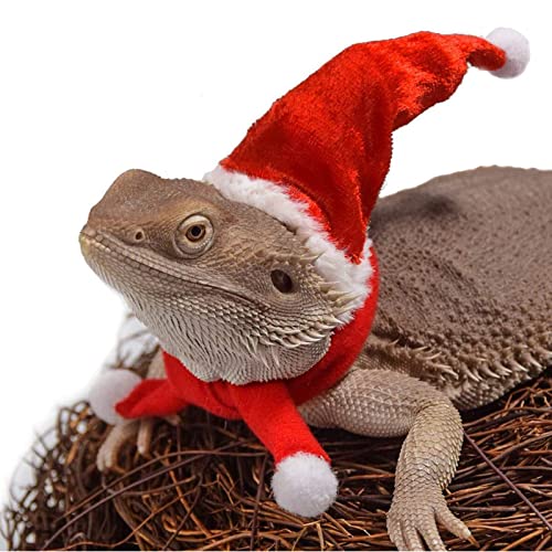Kit de Gorro de Dragón Barbudo, Paño Decorativo para Gorro Navideño de Lagarto con Bufanda para Lagarto