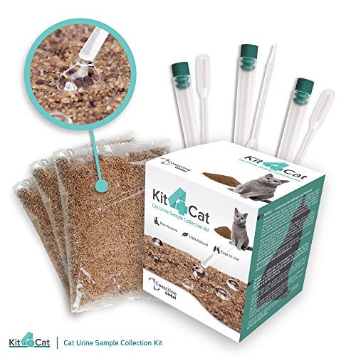 KIT4CAT Colección de muestras de orina de gato Arena (caja de 3 partes)