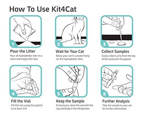 KIT4CAT Colección de muestras de orina de gato Arena (caja de 3 partes)