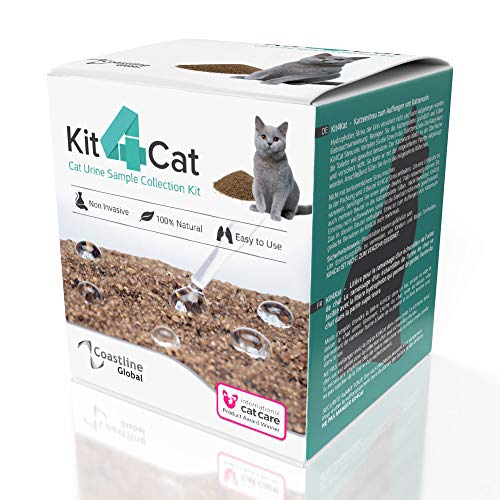 KIT4CAT Colección de muestras de orina de gato Arena (caja de 3 partes)