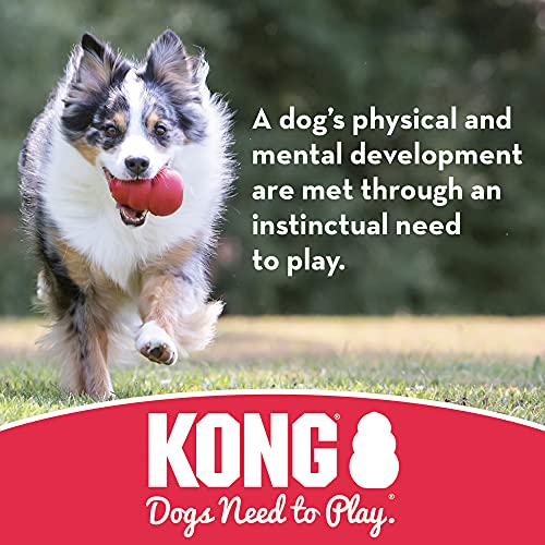 KONG - Extreme Ball - Juguete de caucho para mandíbulas potentes, negro - Para Perros Pequeños