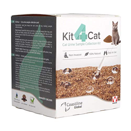 Kruuse Pet Arena Gato Kit4Cat, Natural 3 * 300 Gr 900 g