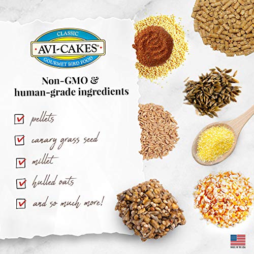 LAFEBER'S Classic AVI-Cakes - Comida para pájaros para Mascotas, Hecha con Ingredientes no modificados genéticamente y de Grado Humano, para cacatúas Conures periquitos, buñuelos (8 onzas)