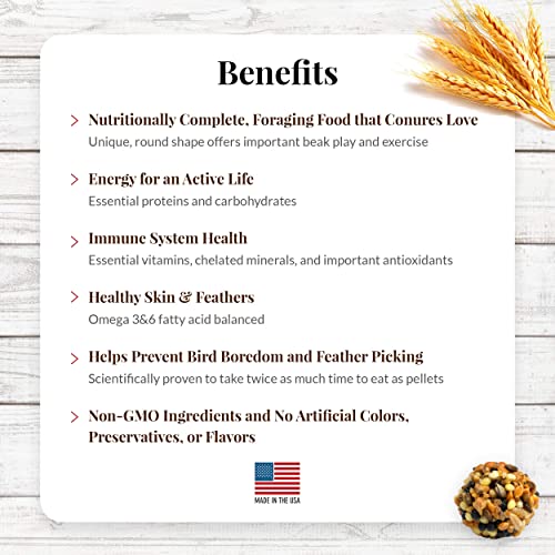 LAFEBER'S Classic Nutri-Berries Pet Bird Food for Conures 10 oz