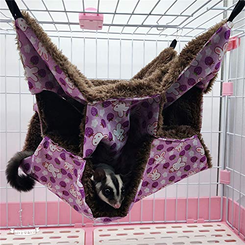 LahAd Hamaca Gato Cama Conejo Hámster Hamaca Pequeña Mascota Cama Jaula para Hamster, Accesorios Gatito Cama Hamacas de Rata para Jaula Conejo de la Cama Purple