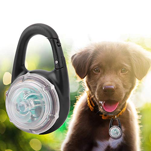 LED Pet Dog Luminous Night Walking Light Colgante de seguridad Collar de perro Collar brillante para Pet Dog Outdoor Interior(Vistoso)