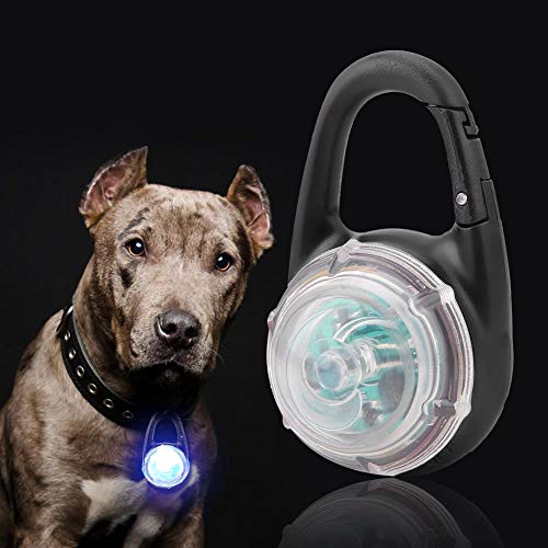LED Pet Dog Luminous Night Walking Light Colgante de seguridad Collar de perro Collar brillante para Pet Dog Outdoor Interior(Vistoso)