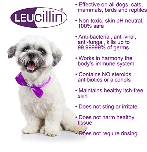 Leucillin Spray antiséptico para el cuidado de la piel 250ml