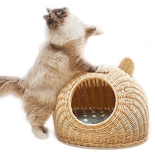 LHMYHHH Casa para Gatos pequeños Perrera para Perros, Camas para Mascotas Arena para Gatos de ratán Cuatro Estaciones General extraíble Lavable Siamés Cool Nest Summer Cat Condo,A,L