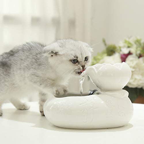 LHSJYG Bebedero Gatos,Fuente para Gatos Cat CERÁMICO Agua Fuente DE Agua Pet Pet Pet PETRÓNICA DISPENSADOR DE Agua ELÉCTRICA AUTOMÁTICO CURÁN CURÁN CURÁN CURANTE (Color : Blue)