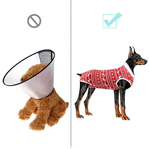 LIANZIMAU Traje Recuperacion Perro Body Quirurgico Cono E Collar Alternativo Abdominal Heridas y Protector Después de la Cirugía Desgaste Body Postoperatorio Perro Ropa para