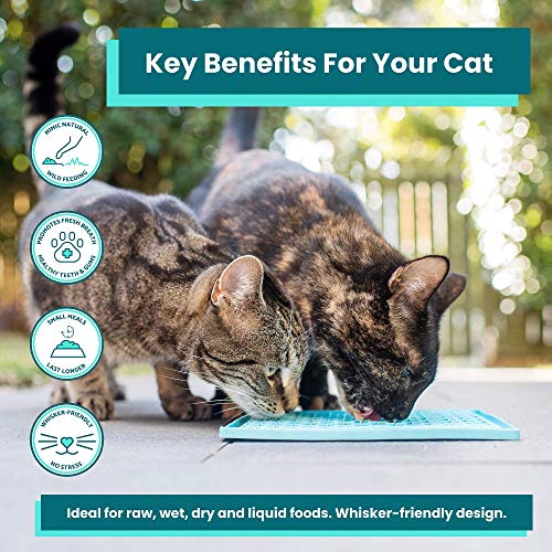 LICKIMAT Playdate Gato Turquesa