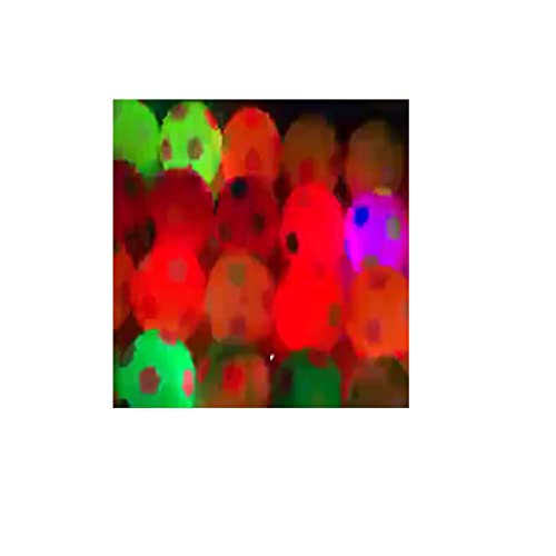 LIEMOAS Bola de Juguete para Perros chirriante, Bola de Captura chirriante Que rebota Duradera, Utilizada para la Limpieza de Dientes y el Cuidado Dental, Bola Intermitente,