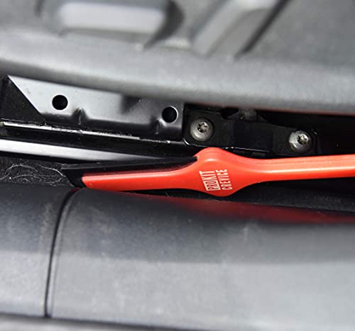 Lilly Brush Pro Pet Hair Tool Kit (para pelo de perro y gato incrustado en coches, alfombras, árboles de gatos y telas)
