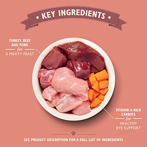 Lily's Kitchen Adult Organic Turkey Dinner Complete Wet Cat Food (19 x 85 g)