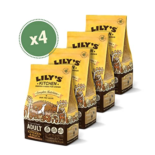 Lily's Kitchen Alimento Completo Seco para Perros Adultos - 1 kg