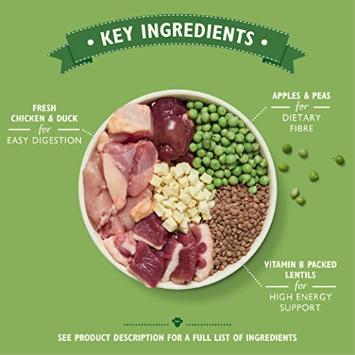 Lily's Kitchen Alimento Completo Seco para Perros Adultos - 1 kg