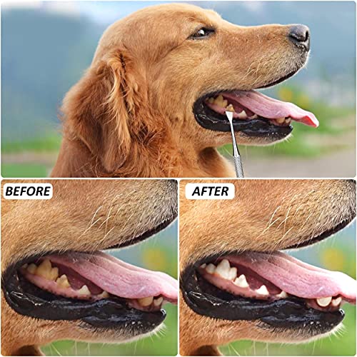 Limpiador de Dientes para Perro Sarro Dental Limpiador Mascota Herramienta de Cuidado Bucal de Acero Inoxidable 5 Piezas