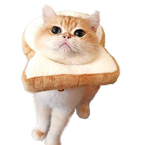 Lindo collar con forma de pan tostado para mascotas, collar de recuperación de gato con rebanada de pan suave, suave y cálido, collar tostado moda ajustable, para mascotas pequeñas como gatos y perros