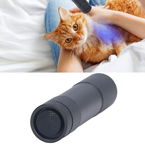 Linternas UV 365nm con Pilas Ahorro de Energía Mini Luz UV Portátil con Espejo Negro Linterna Ultravioleta Linterna Portátil Luz de Detección de Musgo de Gato para Identificación de Musgo de Gato