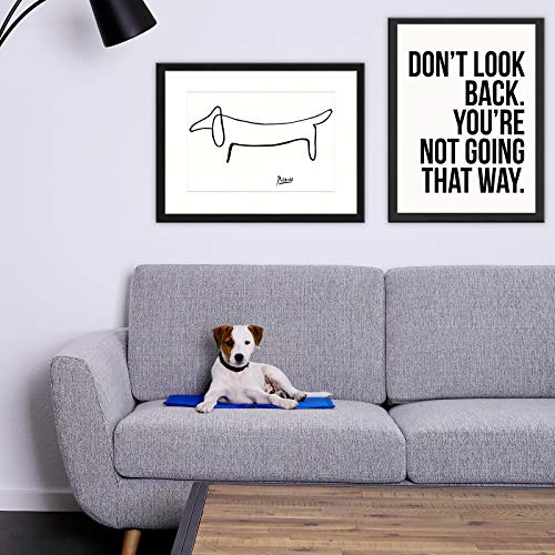 lionto Esterilla de enfriamiento para mascotas alfombra refrescante talla (M) 90x50 cm
