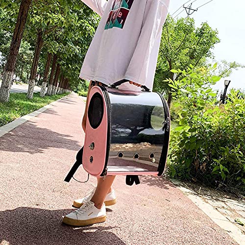 liushop Jaula para Pájaros PROPIETE Travel Carrier, Vista Clara Llevar la Jaula Pájaros Dog Cat Travel Cage Pet Parrot Travel Backbag Pet Portador de Mascotas Jaula (Color : Pink)