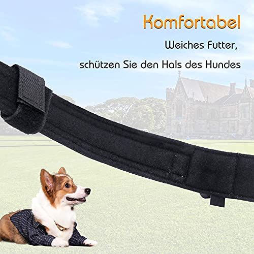 LIVETTY Collar de perro ajustable con mango control robusto, collar táctico para perros hebilla metal resistente medianos y grandes, ancho 3,8 cm, entrenamiento K9, nailon, L