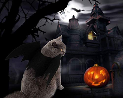 LIZHIGE Pet Costume Bat Wings, 1Pc Pet Halloween Bat Wings Disfraz, Gato Perro Cool Bat Wings Cosplay Accesorio para Halloween Holiday Theme Party, 2Pc Campana de Calabaza